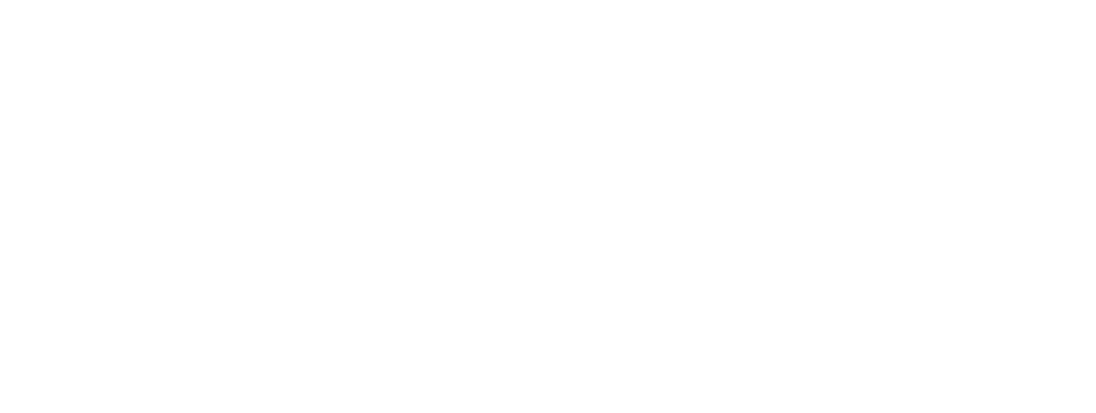 Logo Willo Promoteur